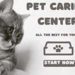 Start a Pet Caring Center in New York City