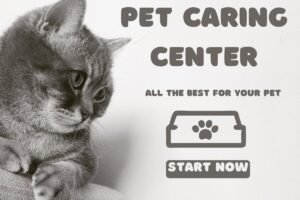 Start a Pet Caring Center in New York City